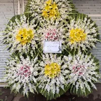 تاج گل افتتاحیه و تاج گل ترحیم و ختم|گل و گیاه طبیعی|کرج, جهان‌شهر|دیوار