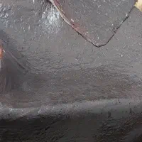 لواشک الو برگه هلو برگه سیب|خوردنی و آشامیدنی|نیشابور, شهرک رسولی|دیوار