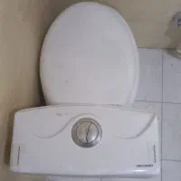 توالد فرنگی نو