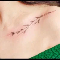 مدل تتو بدن (بانوان)|خدمات آرایشگری و زیبایی|اصفهان, شهرک سلامت|دیوار