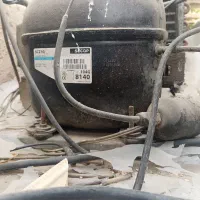 یخچال قصابی، مرغی شش درب