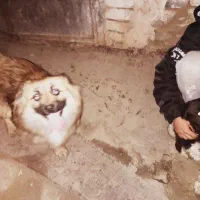 فروش ونداشتن مکان مناسب