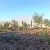 فروش باغچه/600 متری