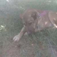 گمشده یابنده مژدگانی داده میشود ای