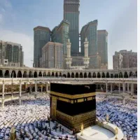 فروش فیش عمره