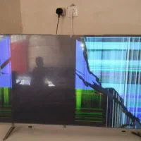 تلویزیون|تلویزیون و پروژکتور|میناب, |دیوار