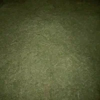 یونجه تازه و خرد شده