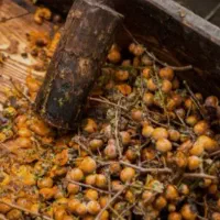 دوشاب جنگلی|خوردنی و آشامیدنی|رشت, آب و برق|دیوار