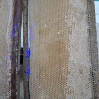 عسل آویشن گون