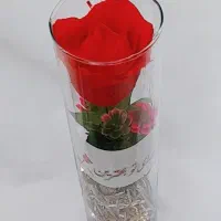 گل شیشه ای( ویژه روز مادر)|گل مصنوعی|قزوین, |دیوار