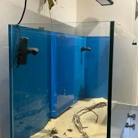 اکواریوم|ماهی|تهران, پاسداران|دیوار