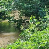 قطعه زمینی خوشقواره درمحیط بکرزیباروستایی