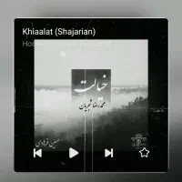 قاب گوشی منصوری