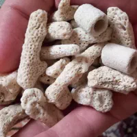 مدیا باکتری ساز آبشور .شیرین