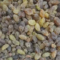 کشمش ، سایه خشک|خوردنی و آشامیدنی|ملایر, |دیوار