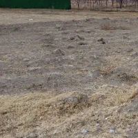 زمین کشاورزی 830متری با سند6دانگ تک برگ فیروزکوه