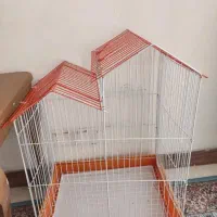 قفس بزرگ