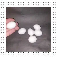 تخم کبوتر|خوردنی و آشامیدنی|بم, |دیوار