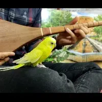 دوتار شمال خراسان