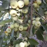 اطلاعات عمومی