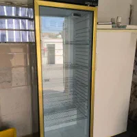 یخچال زاگرس در حد صفر