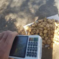 یک عدد کارت خوان گم شده