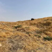 فروش زمین