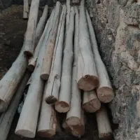 چوب های سقف|عمدهفروشی|پلدشت, |دیوار