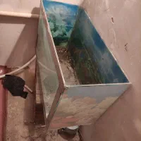 آکواریوم ماهی|ماهی|شیراز, پودنک|دیوار