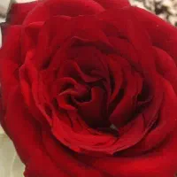 دعوت به همکاری لاین ناخن