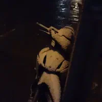 موتور لاکی ۱۲۵ مدل ۹۰|موتورسیکلت|بیرجند, |دیوار