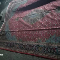 دو عدد فرش|فرش|خوی, |دیوار