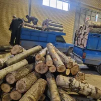 برش فوری انواع چوب ودرخت