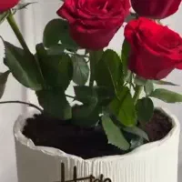 کیک روز مادر