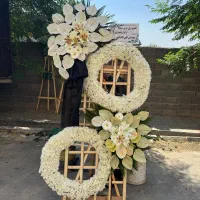 بازار گل امام‌ رضا گل نمایشگاه|گل و گیاه طبیعی|ری, بازار گل خاوران|دیوار