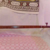 تنبور|سازهای سنتی|تهران, دکتر هوشیار|دیوار