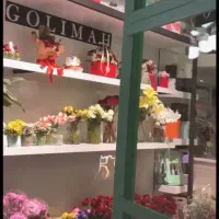 واگذاری گلفروشی|اجارهٔ مغازه و غرفه|قم, آزادگان|دیوار