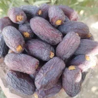خرما مج.ول درجه ۱ درشت شهرستان جم|خوردنی و آشامیدنی|رشت, دیلمان|دیوار