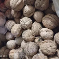 گردو‌ بادام مویز سیاه کشمش