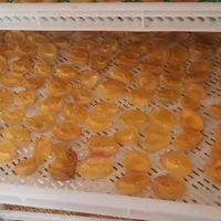 خشک کن ۳۵۰کیلو|ماشین‌آلات صنعتی|مشهد, نظام دوست|دیوار