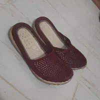 کفش  مرغ خروس