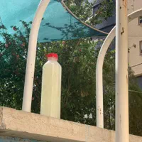 نوشیدنی آلوورا خالص آلوئه ورا باربادنسیس میلر|خوردنی و آشامیدنی|اصفهان, سیچان|دیوار