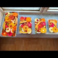 دستگاه میوه خشک ۲۰۰ کیلویی بدون کوچکترین ایراد|ماشین‌آلات صنعتی|ارومیه, |دیوار