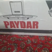 یک عددهودپایدار