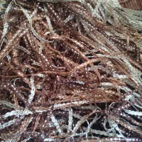 لباس|لباس|ملایر, |دیوار