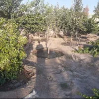 فروش زمین باغی در جاده بازمرگان تقاطع عسکریه|فروش خانه و ویلا|مشهد, میان ولایت|دیوار