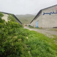 فروش کارخانه برنج|فروش دفتر صنعتی، کشاورزی، تجاری|تهران, بازار|دیوار
