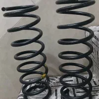 فنر تیبا  ساینا