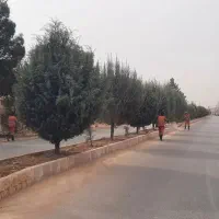 1000متر-باغ-دشتکوه-ویلا-شهر-کیمیا