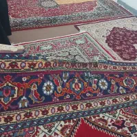 فرس دستباف ۹ متری کهنه|فرش|ارومیه, |دیوار